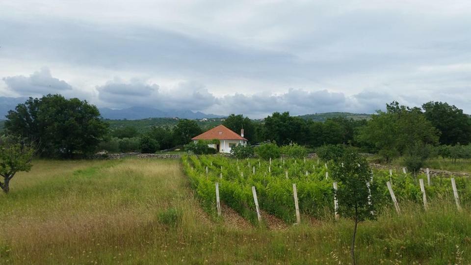 Holiday House Tunjarice 오브로박 외부 사진